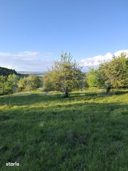 Teren de 10000 mp, în Tărlungeni
