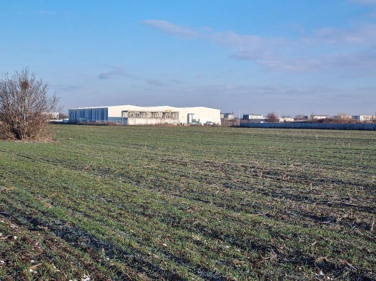 Vanzare Teren  industrial \5000mpMagurele Varteju - 10