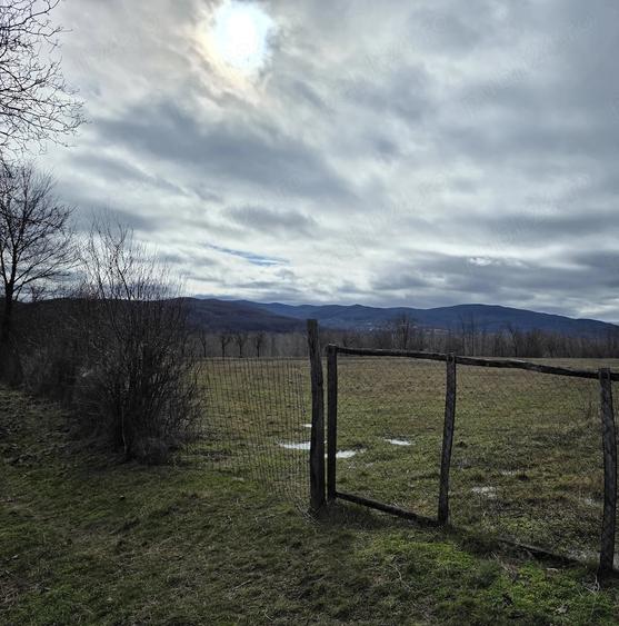 Teren de 4300 mp, în Pârscov