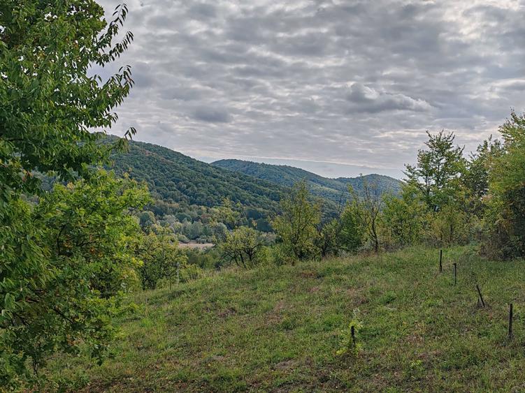 Teren de 5400 mp, în Drăgăneasa