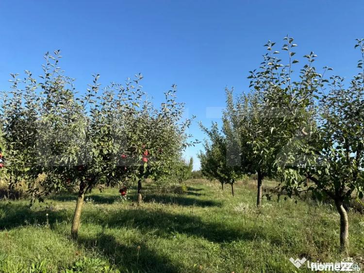 Casă cu 3 camere cu Teren 3600 Mp în Păulești