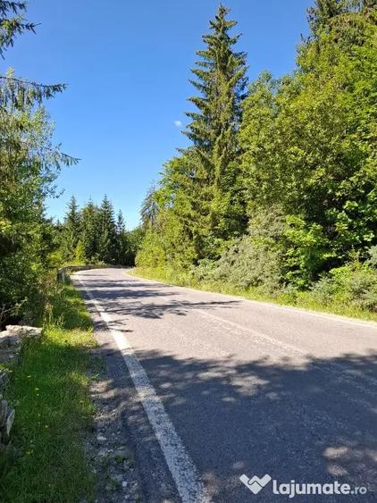Teren în Moroeni