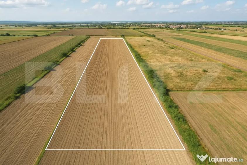 Teren de vanzare 11.600 mp Stupini - 1