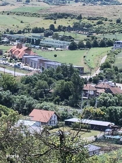 Teren de 8000 mp, în Baciu