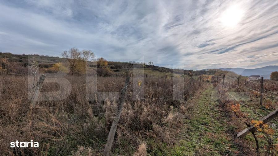 Teren de 2000 mp, în Almașu Mare