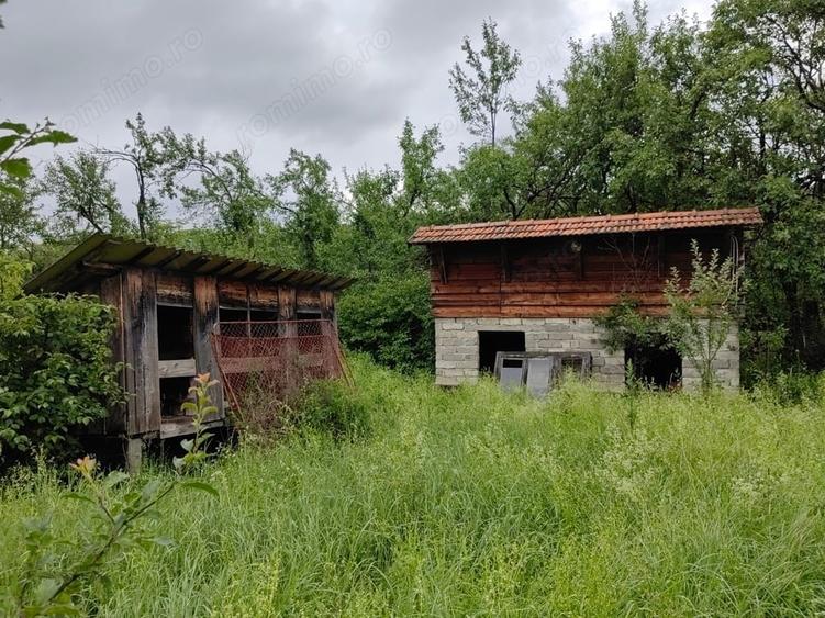 Teren intravilan 18.645 mp in Satul Santamaria de Piatra (sat apartinator Orasului Calan) Jud. HD. - 10