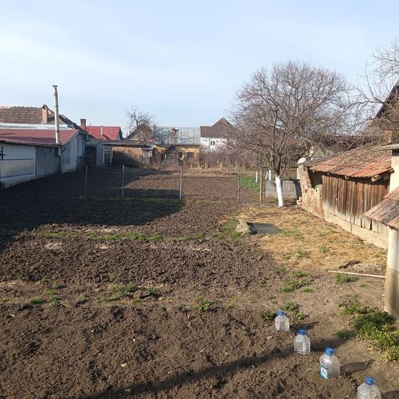 Casă cu 3 camere în Central