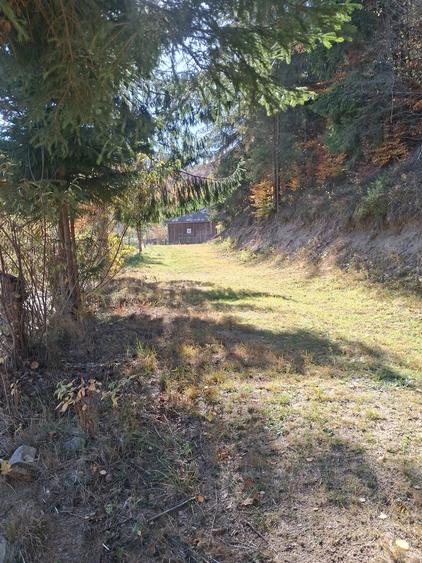 Casă cu 2 camere cu Teren 4500 Mp în Central