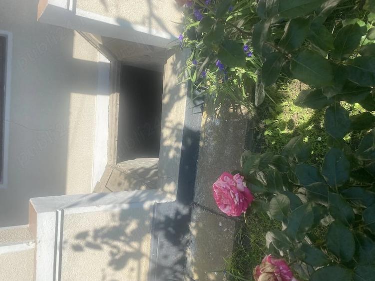 Casă cu Teren 1500 Mp în Ghirdoveni