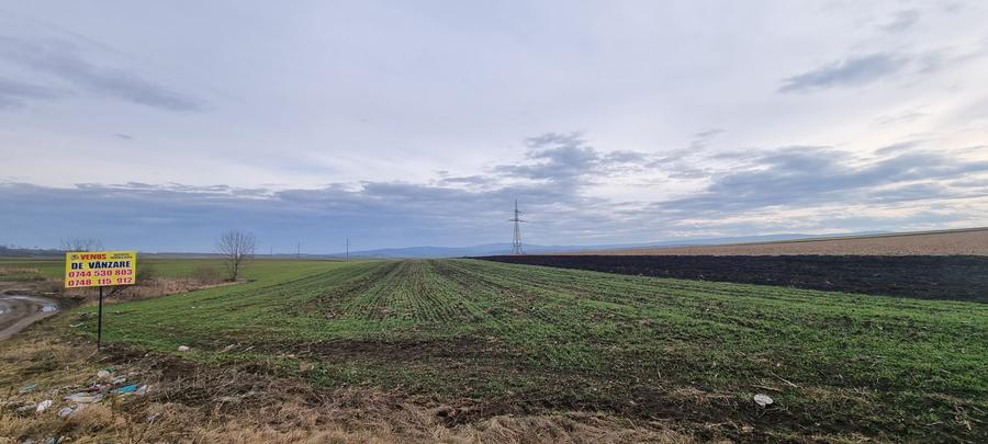 Teren Construcții extravilan de 5400 mp, în Central