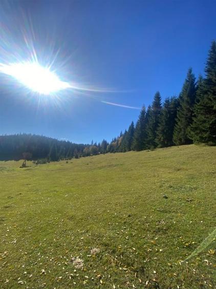 Teren Construcții de 16257 mp, în Poiana Horea