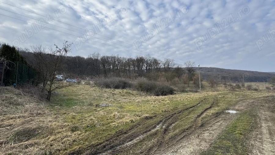 Teren intravilan de vanzare in Corunca - 5