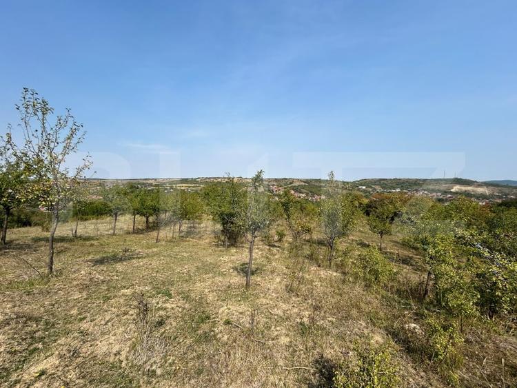 Teren Construcții extravilan de 5800 mp, în Aiud
