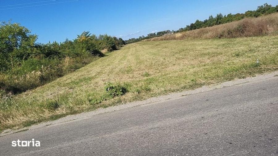 Teren de 8000 mp, în Dragomirești