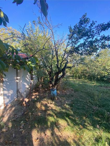 Casă cu 3 camere cu Teren 1600 Mp în Bujoreni