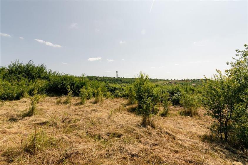 Teren intravilan de 1200 mp, în Paleu