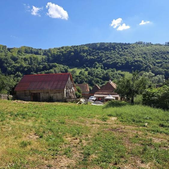 Casa traditionala la Valea Zalanului - 4