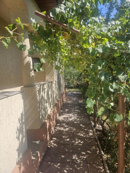 Casă cu 4 camere în Cireșanu