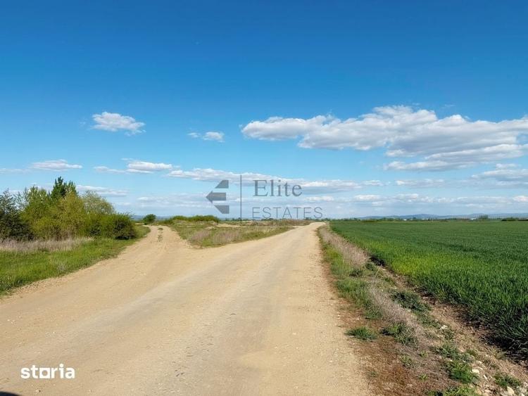 Teren extravilan 6450 mp in Osorhei acces din DN1 - 4