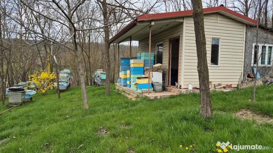 Casă cu 4 camere cu Teren 1500 Mp în Șendrești