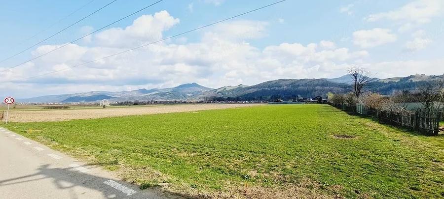 Teren de 8906 mp, în Dofteana