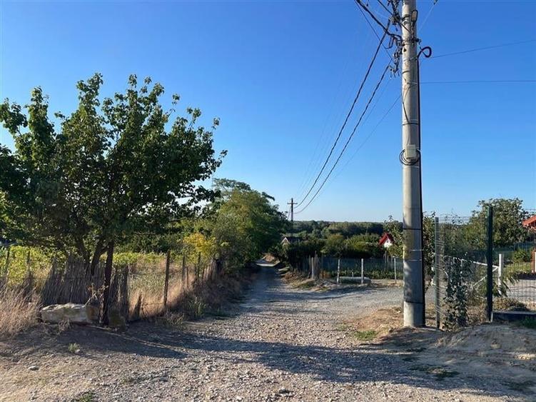 Teren Construcții intravilan de 1438 mp, în Nufăru
