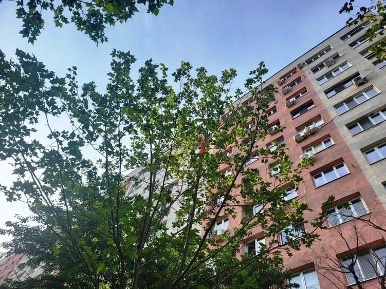 Apartament cu 2 camere decomandat în Sălăjan