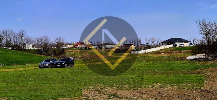 Teren Construcții intravilan de 5000 mp, în Moara Domnească