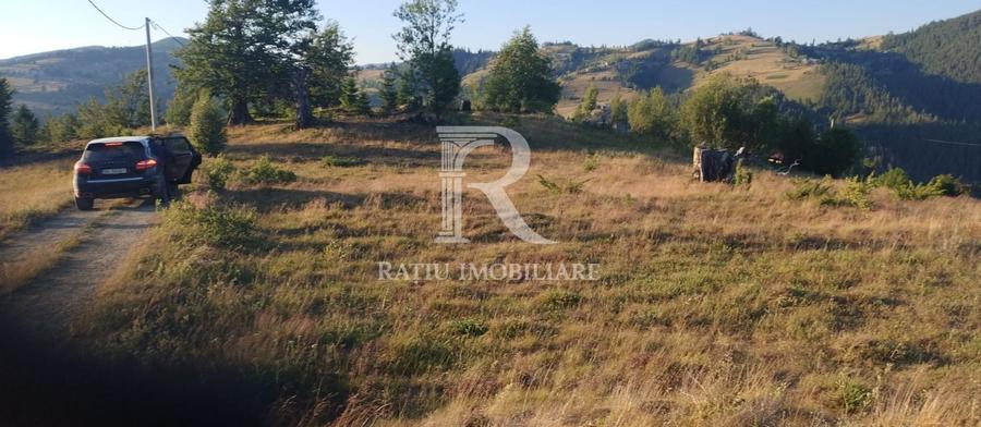 Teren Construcții intravilan de 3000 mp, în Gârda de Sus