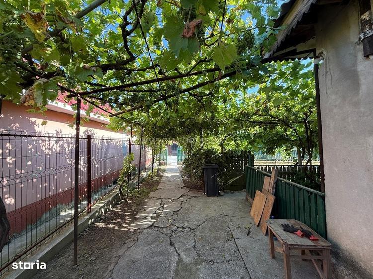 Casă cu 4 camere cu Teren 1531 Mp în Pecineaga
