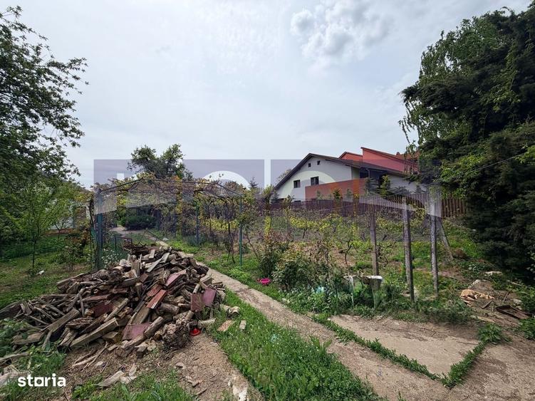 Spațiu comercial, în Nord