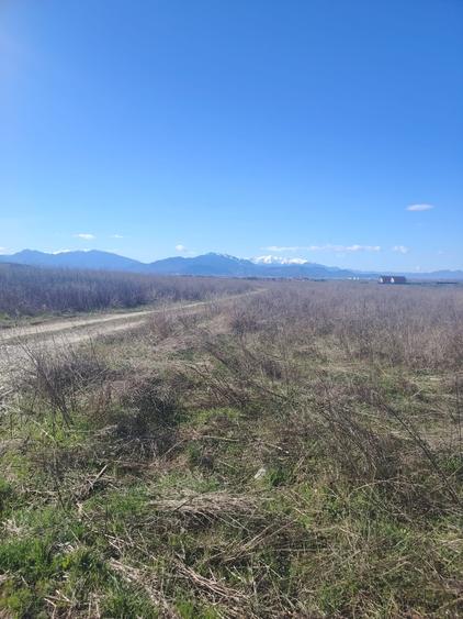 Teren Construcții intravilan de 600 mp, în Bod