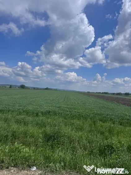 Teren de 10000 mp, în Rădăuți