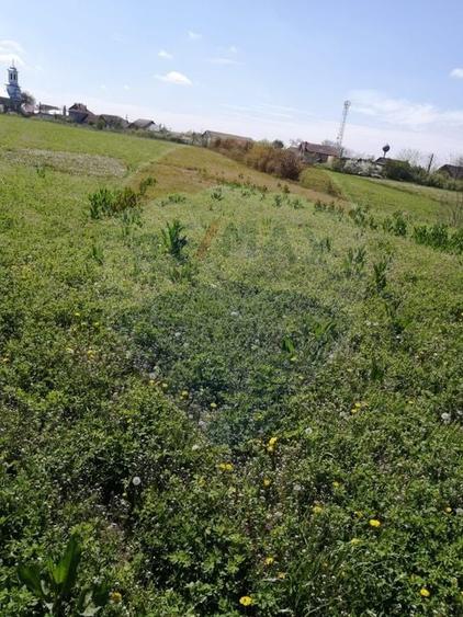 Teren Construcții intravilan de 6574 mp, în Leș