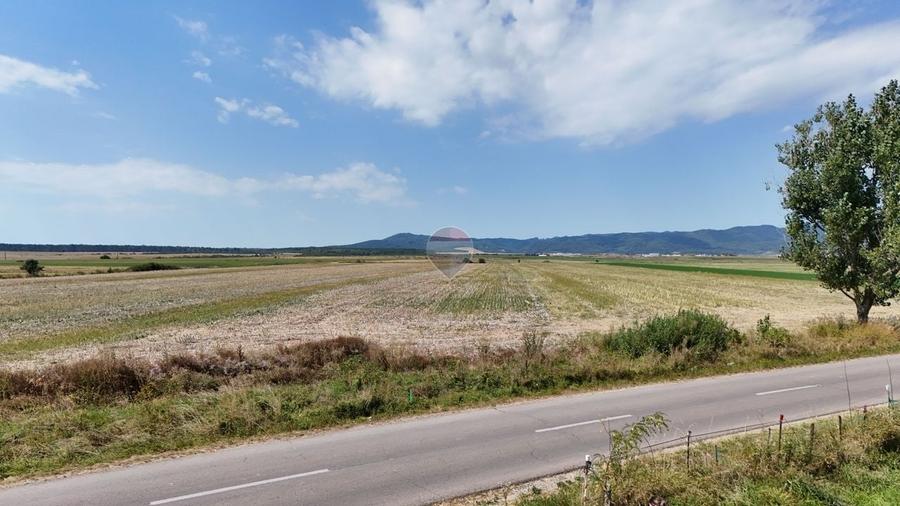 Teren agricol extravilan de 16661 mp, în Satu Nou