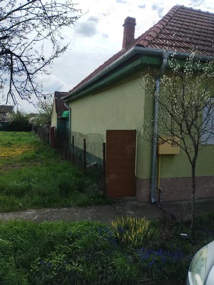 Casă cu Teren 376 Mp în Central