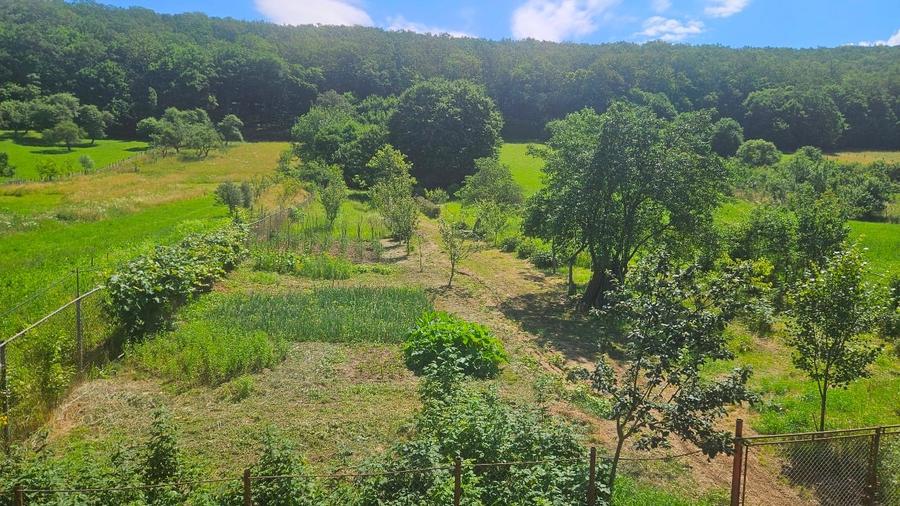 Casă individuală cu 8 camere cu Teren 4500 Mp în Vâlcele