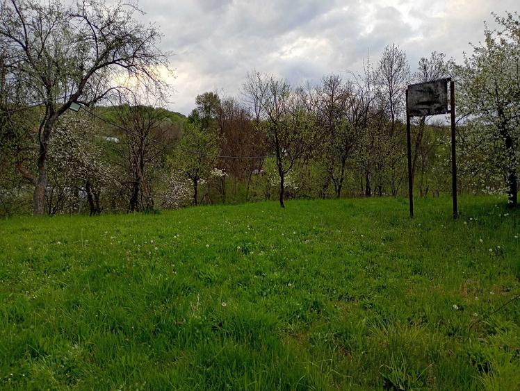 Casă cu 3 camere decomandat în Provița de Jos