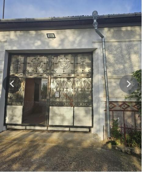 Casă individuală cu 10 camere cu Canalizare în Izbuc