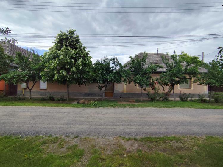 Casă cu 4 camere în Pecica