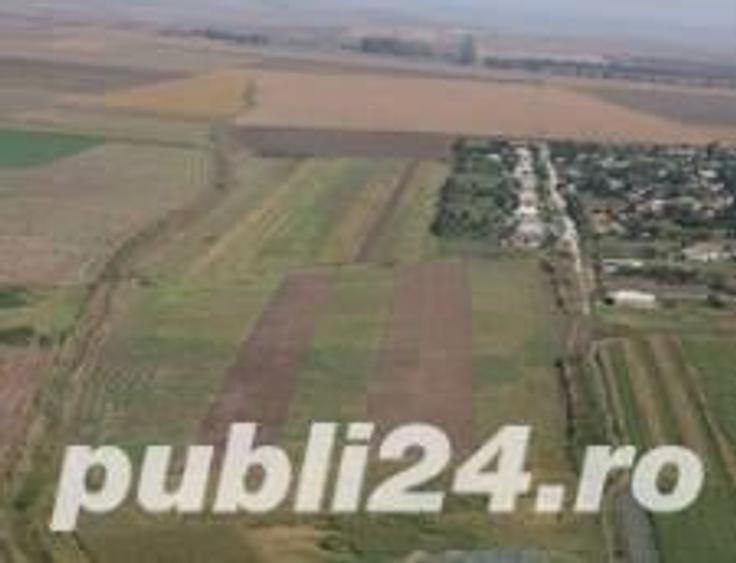 Teren de 1600 mp, în Doljești