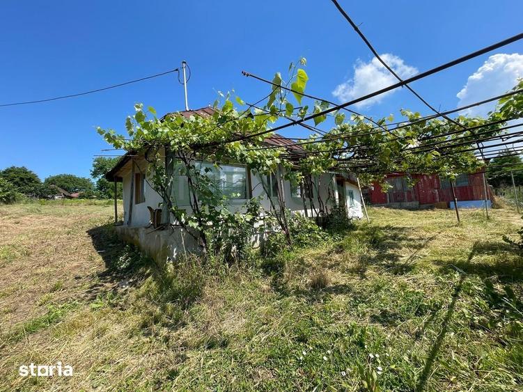 Casă cu 2 camere cu Teren 3200 Mp în Traian