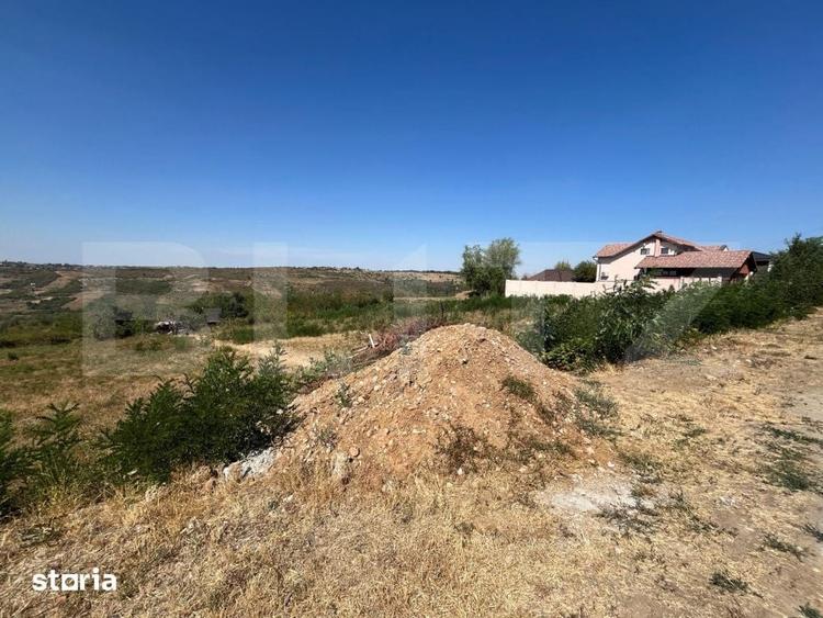 Teren de 9995 mp, în Paleu