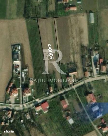 Spațiu comercial, în Leș