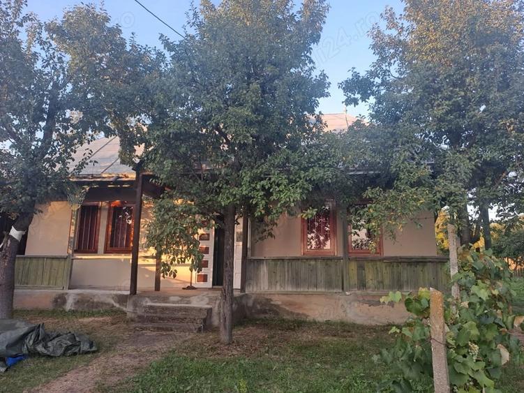 Casă cu 2 camere cu Teren 3200 Mp în Negri