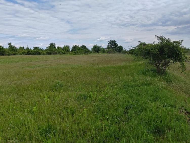 Teren de 114000 mp, în Ariceștii Rahtivani