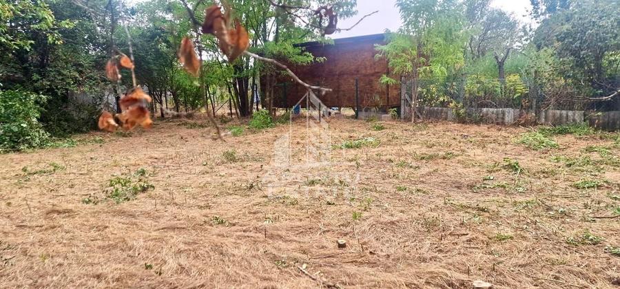 Teren Construcții intravilan de 556 mp, în Est