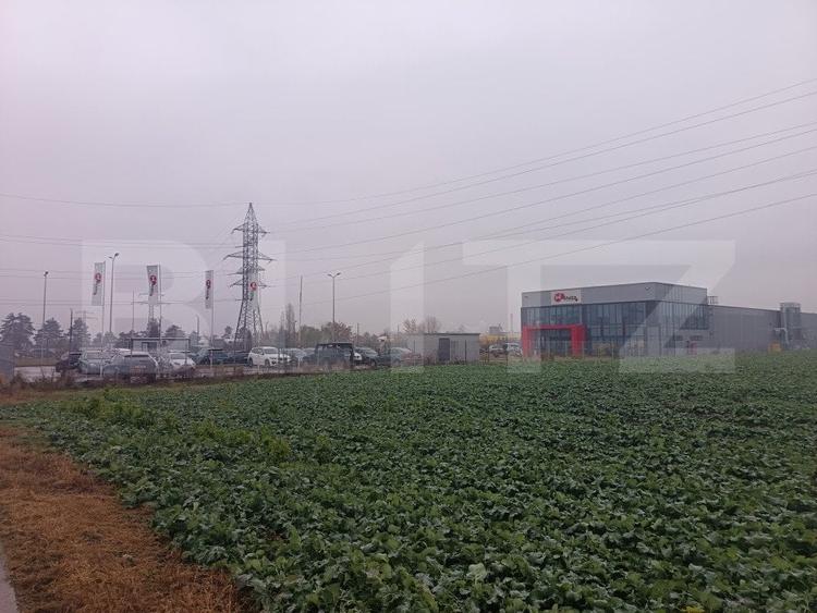 Teren Construcții intravilan de 15000 mp, în Păulești