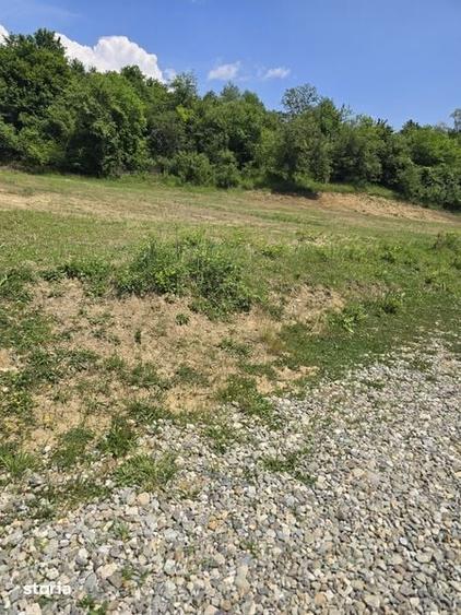 Teren de 650 mp, în Vlădești