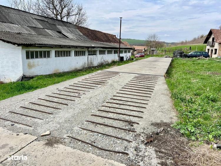Spațiu comercial, în Șeica Mică